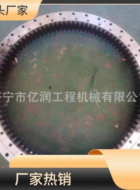 神支SK大75-8020-6E200-821DCZ0-8挖掘机回转撑转盘