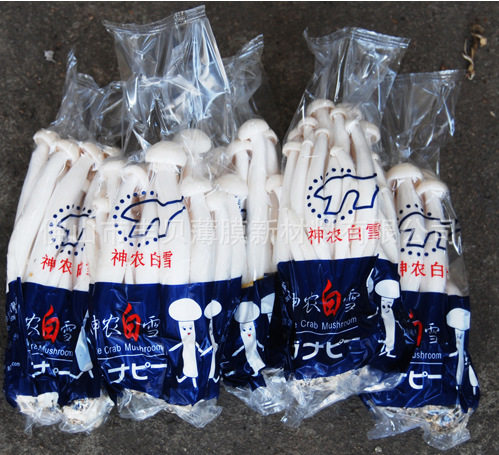 CPP防雾膜食用菌蟹味菇金针菇包装膜 可以制袋 紧包CPP防雾膜