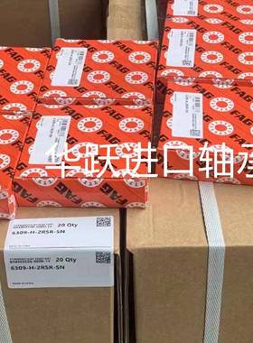 德国TF1AG轴承L18SA900L5SA900L10A900L18SG1000302.2RSD角接触球