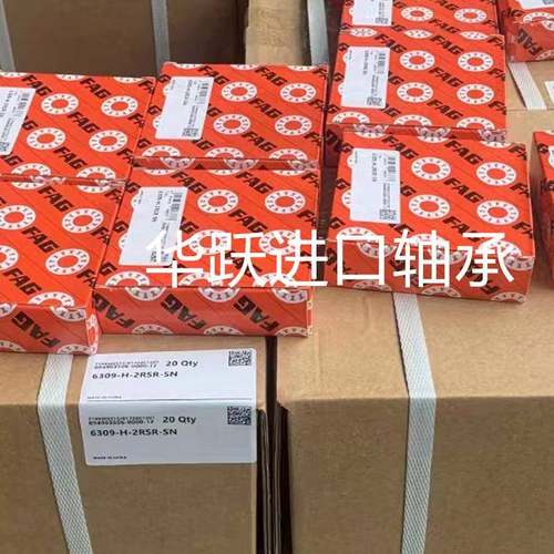 德国TF1AG轴承L18SA900L5SA900L10A900L18SG1000302.2RSD角接触球