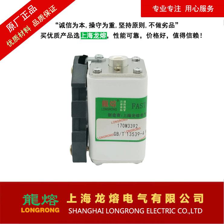 上海龙熔熔断器170M3392 1000V 125A熔芯 保险丝电子元器件