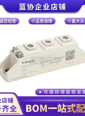 西门康SKKT106B14ESKKT106B18ESKKT57B16E热销可控硅