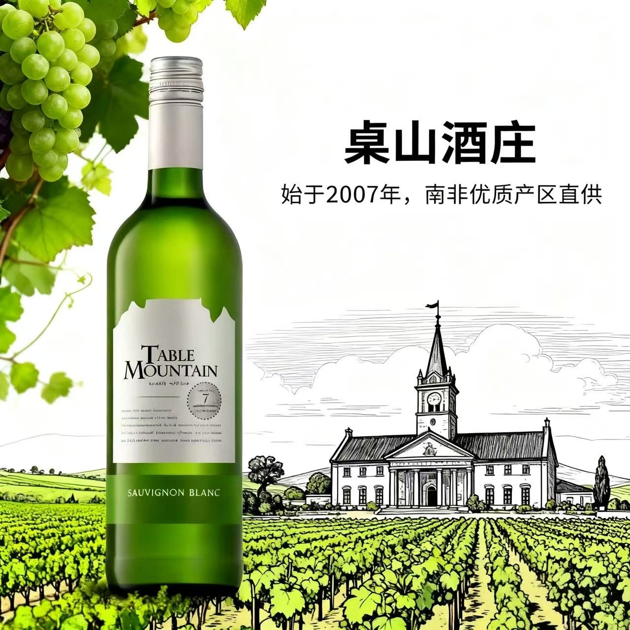 南非原装进口双洋泰博山长相思白葡萄酒桌山西拉设拉子半干红葡萄