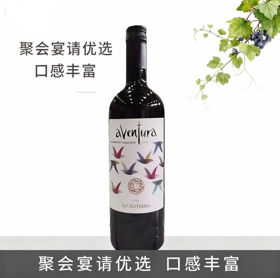 智利原瓶进口佳特利庄园印象梅洛葡萄酒750ml加本力苏维翁赤露珠