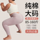 打底裤 女g胖mm打底秋裤 棉毛裤 大码 内穿纯棉保暖裤 不带脚女士秋冬