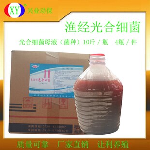 渔经光合细c菌母液菌种调水补菌肥水清水水产养殖鱼虾有益菌40公