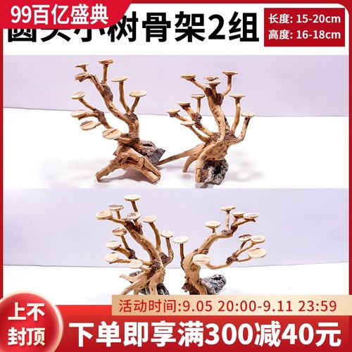 鱼缸造景沉木树圆头莫斯树椰壳片水草树迎客松骨架成品草缸树桩根