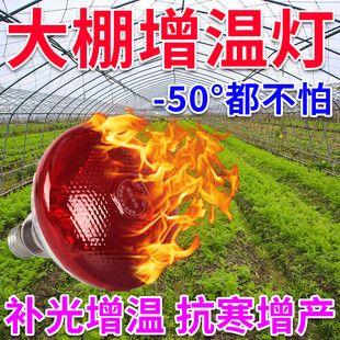 冬季大棚增温植物花卉蔬菜防冻保暖加热专用太阳能灯蓄电升温神器