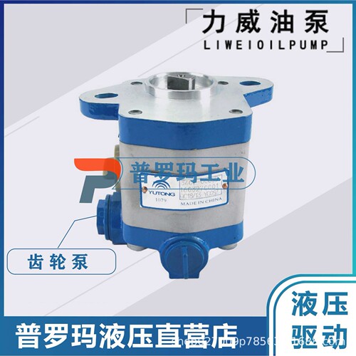 合肥力威汽车油泵612630030303转向泵潍柴动力巨力泵QC18/15-WP12