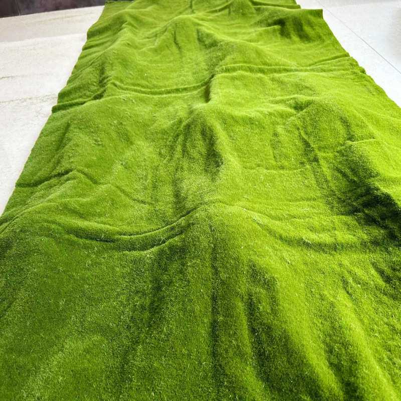 鼓苞草坪绿植绒毛苔藓地毯永生青苔墙园林软装假山沙盘文化馆造景