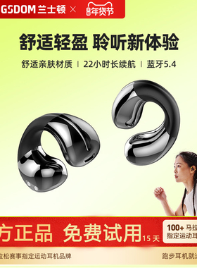 兰士顿TS22耳夹式耳机蓝牙2026新款无线高音质气骨传导运动跑步