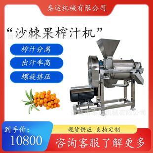 沙棘果榨汁机沙棘汁饮料灌装线芒果螺旋打浆机青苹果破碎榨汁设备