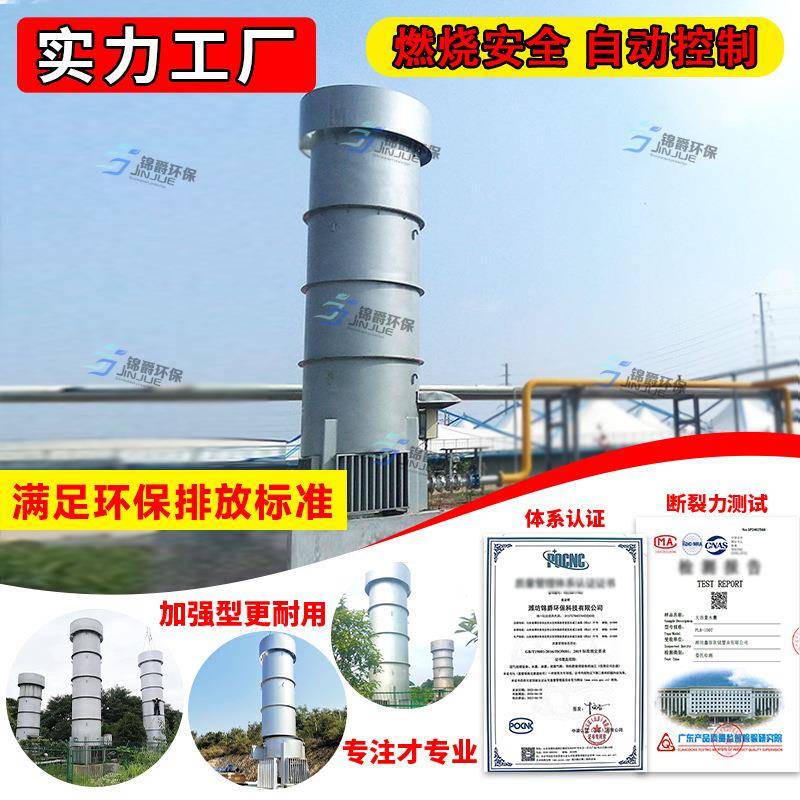 低氮沼气火炬小型沼气火炬简易火炬生活垃圾燃烧沼气火炬自动点火