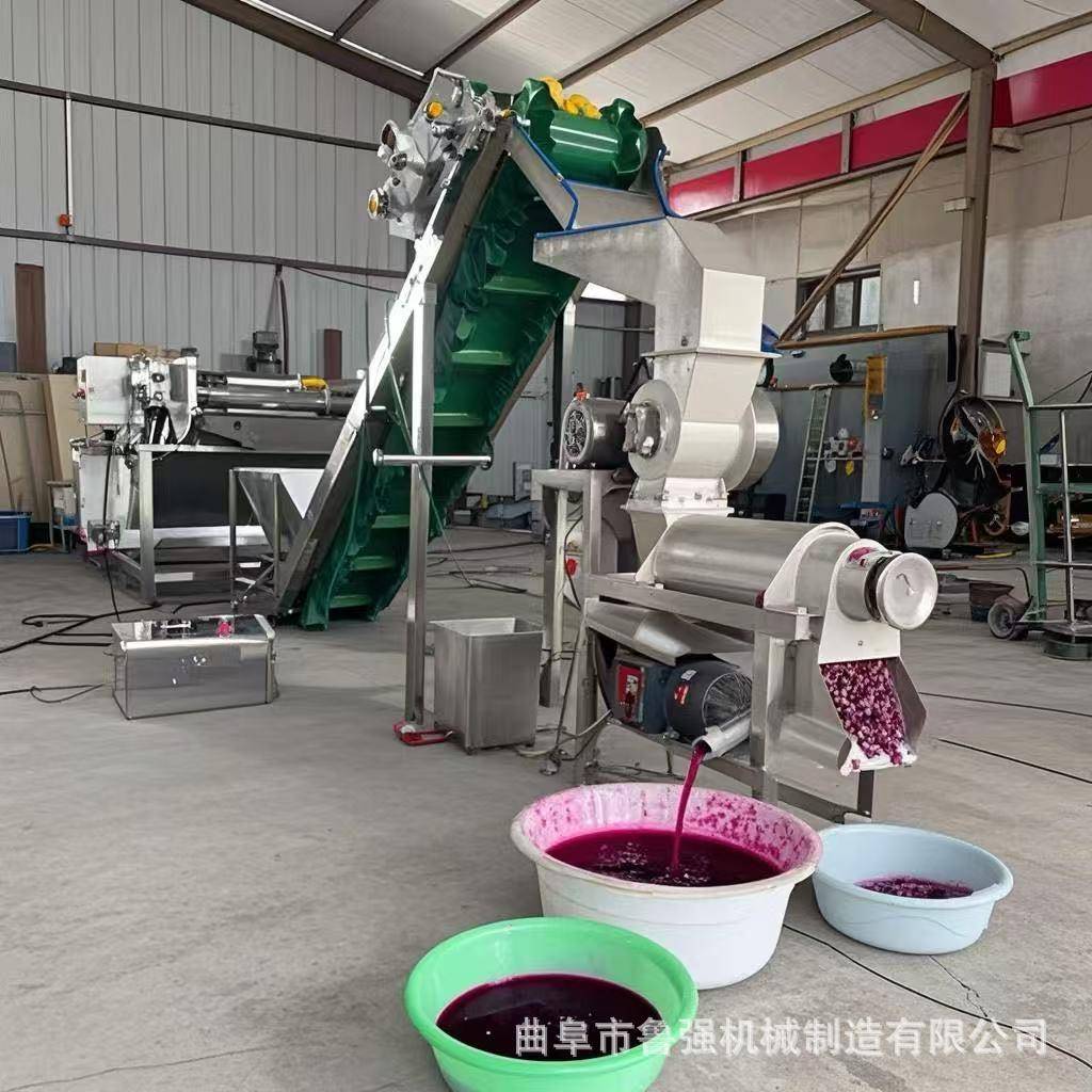 大型工业柠檬破碎榨汁机石榴柚子粉碎榨汁机芒果菠萝挤汁机厂家