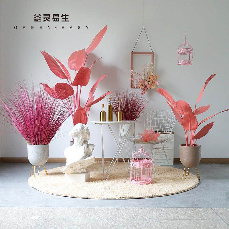 仿真芦苇草粉色旅人蕉盆栽室内客厅商场北欧仿真绿植造景落地摆件,畜牧/养殖物资,畜牧/养殖器械,淘宝优惠券,粉丝福利购,淘宝优惠卷
