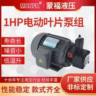 FA3电动叶片泵 ELITE电机泵1HP 0.75KW工业电机泵VP