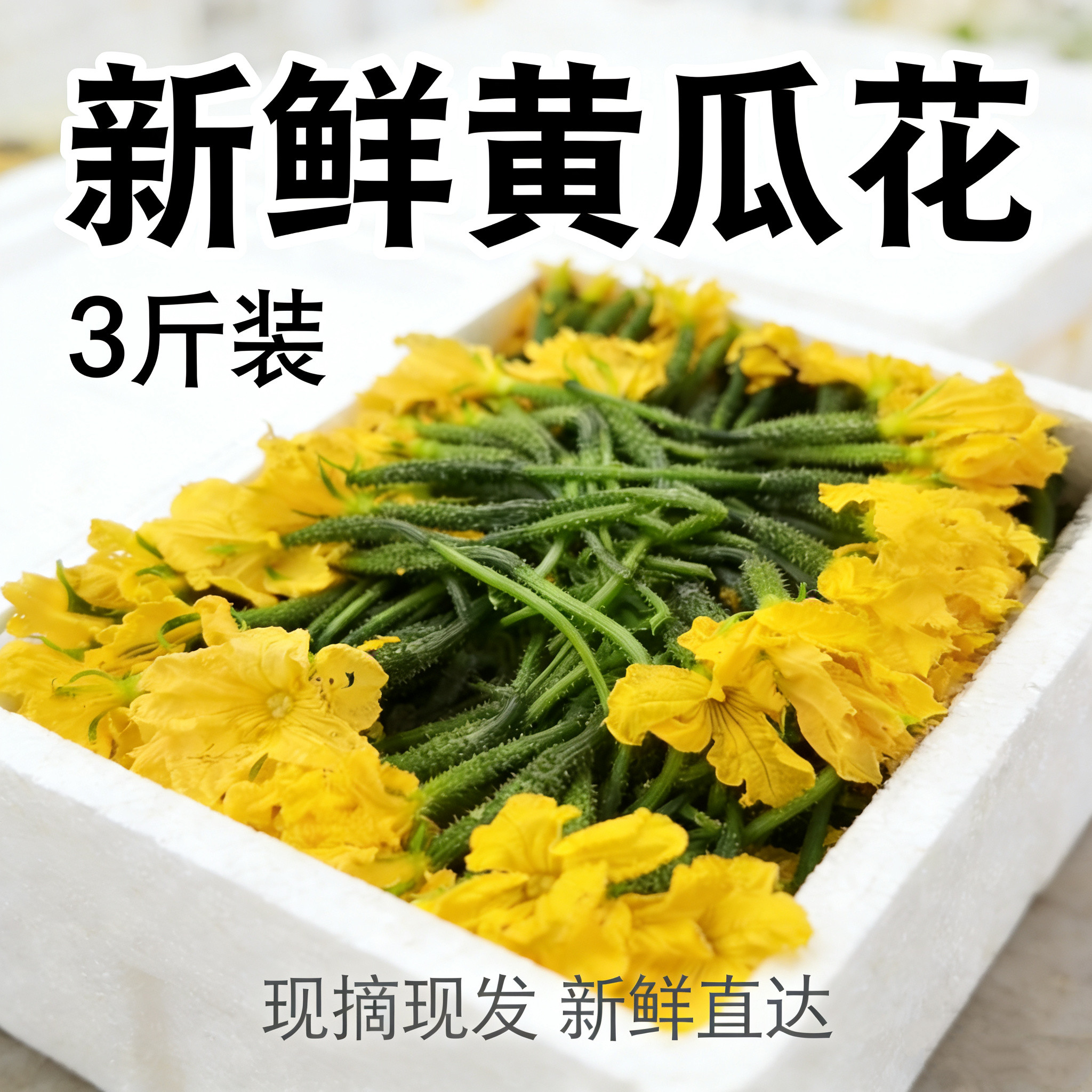 新鲜黄瓜花现摘3斤装包邮当季蔬菜鲜嫩迷你小黄瓜花农家自种,水产肉类/新鲜蔬果/熟食,黄瓜,淘宝优惠券,粉丝福利购,淘宝优惠卷