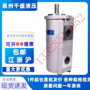 合肥长源双联泵 合肥赛源SY齿轮泵 CBQLAH-F550/F540-ALH液压油泵