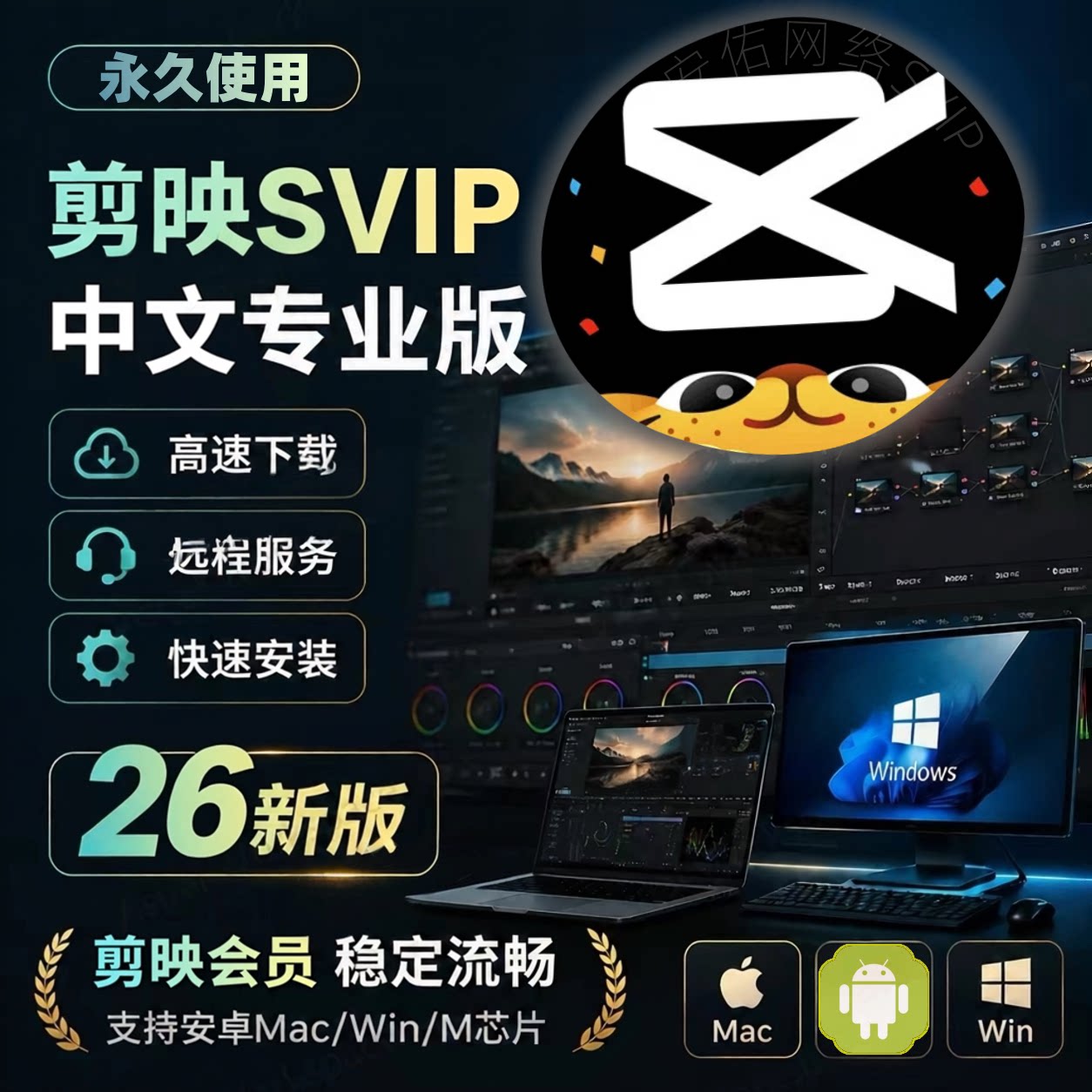 剪映svip会员永久版电脑专业版剪映手机版送模板教程远程安装剪映图片