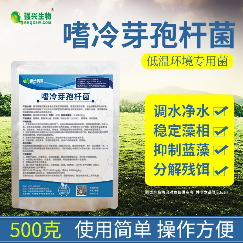 水产养殖生物菌嗜冷芽孢杆w菌低温冬天环境专用菌种污水处理