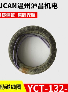 厂家直销温州沪昌机电电机励磁线圈YCT-132-4A全铜保证