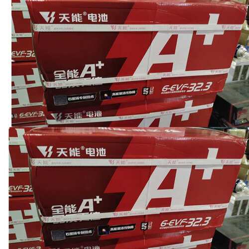 60伏32安 铅酸蓄电池（5只装）12V32Ah 6-EVF-32三轮车电瓶 武汉