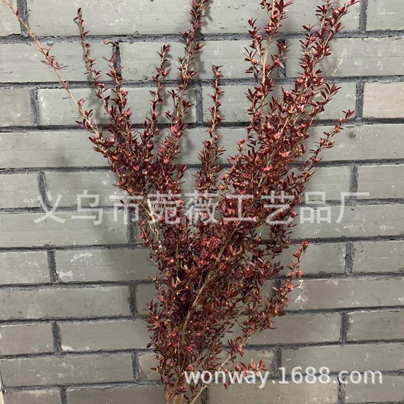 生保层鲜千金森系自然花永生带叶梅真NDX花树枝家居装饰软永装