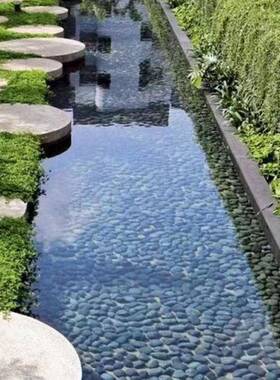 路鹅卵石精品抛雨花石庭院园光林铺鹅卵石鱼缸造景色767黑色鹅白