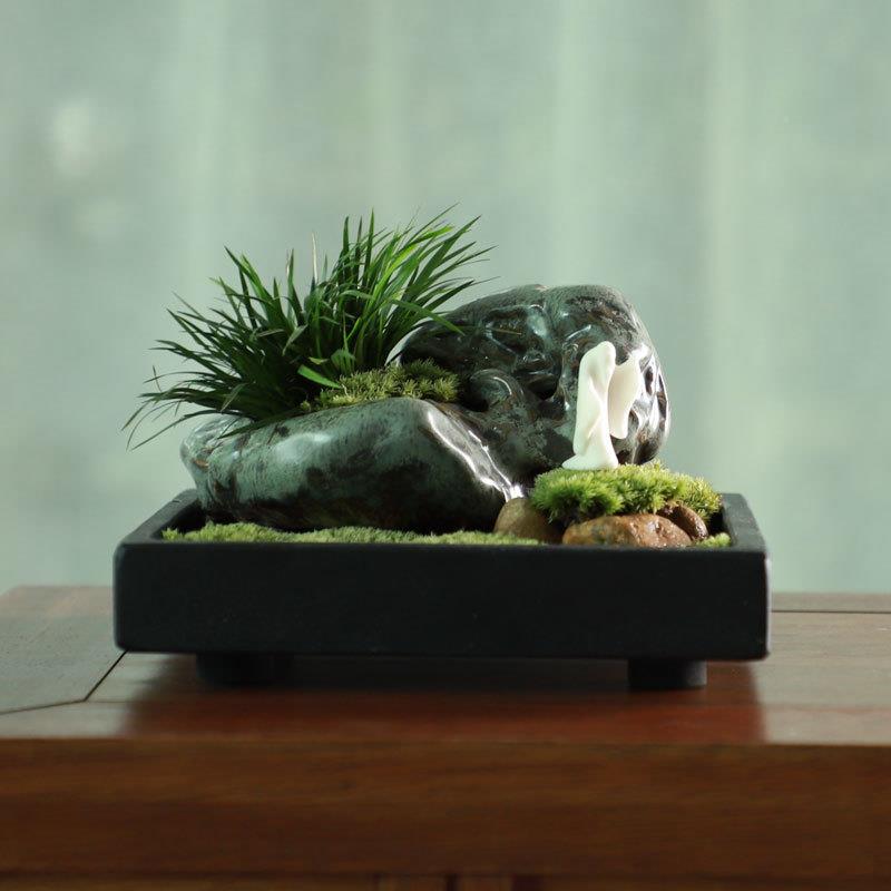 盆石寨文竹苔藓水培微好景观窄长方型景乌金石菖中小型蒲盆景绿微