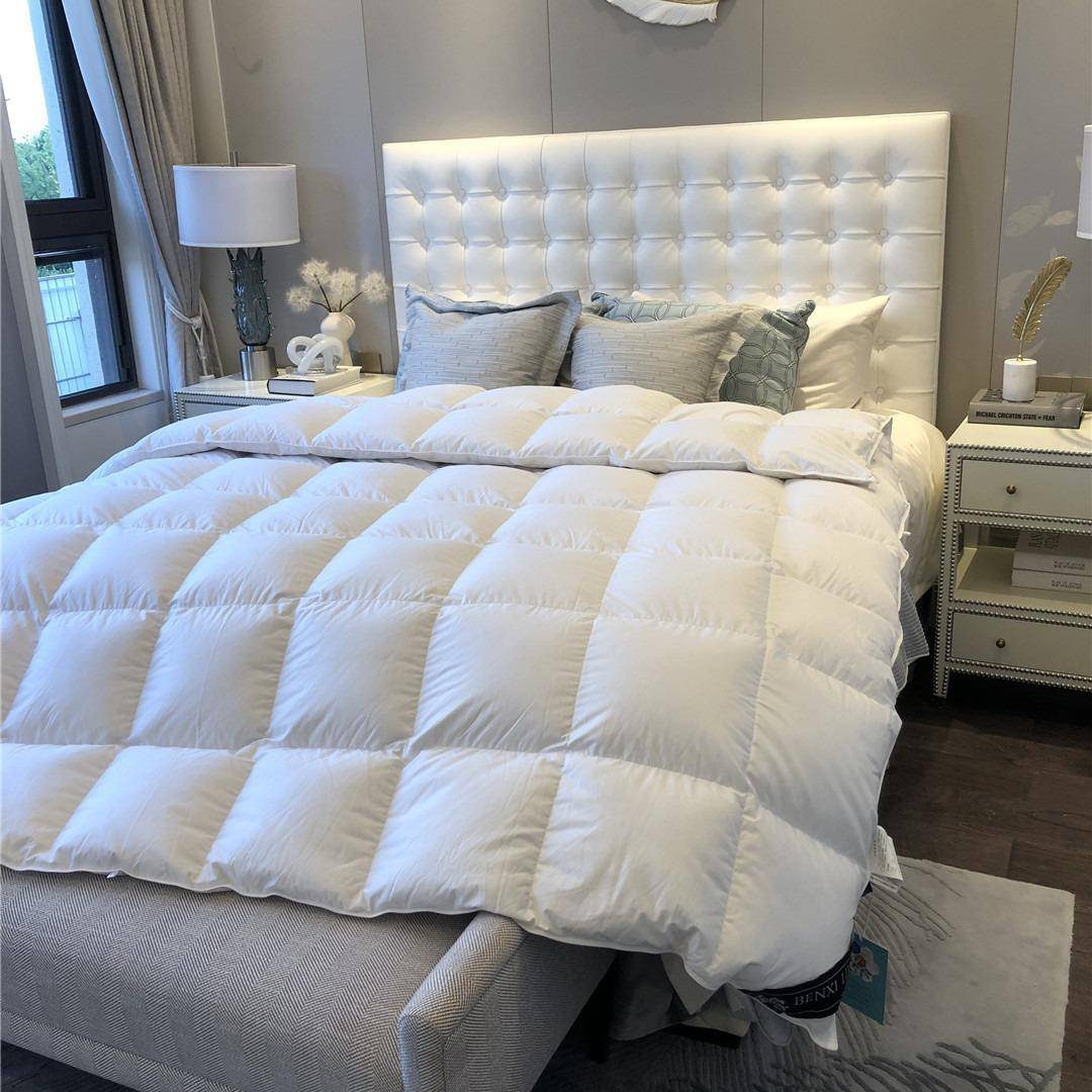 秋冬轻奢款5绒马朵白鹅0绒羽RYR绒被加厚9保暖被芯防静音10匹棉被