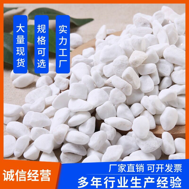 批发路面装饰观赏庭院白色鱼缸白石子花园土壤小石头地面