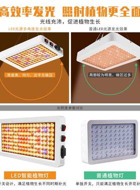源长头植工光厂照明led植物生灯全光谱花蕊蔬菜种灯室RIZ内育苗补
