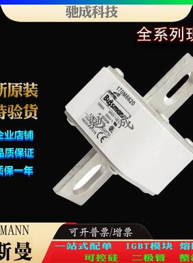 巴斯曼170M6620 170M6621 170M6629 长期出厂价格 紧凑熔断器