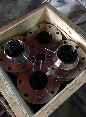 IRH04带径9对焊法兰G/T9119-0HG20595-2000锻法兰打BN高颈法兰盘