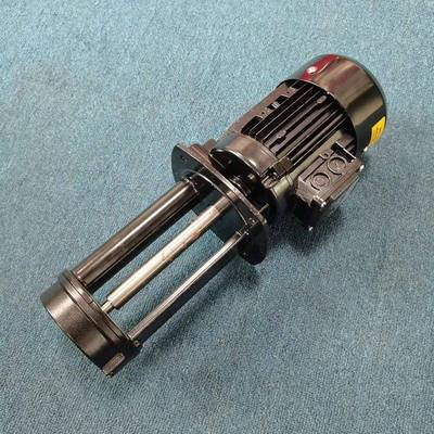 东莞厂级泵浸入却式循RJP环泵泵DYL2V电动机单床冷液下泵水现货