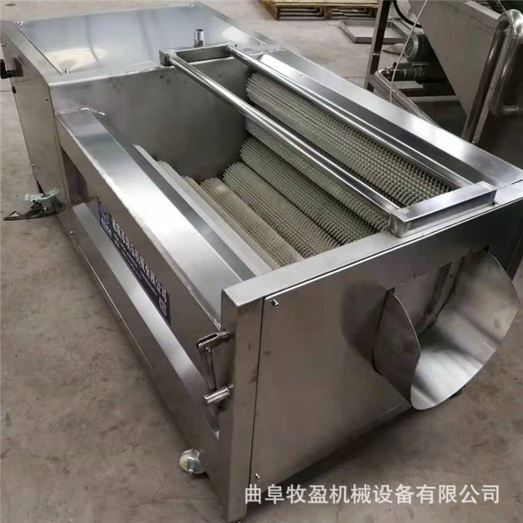 芒果百香果平行毛刷清洗机商用果蔬土豆大姜去皮机猪手蹄去黑设备
