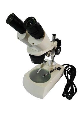双体视显微镜XT-III-40带上下电光源目40倍工业HTQ立体显X微镜