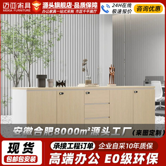 现代简约办公柜子文件柜子带抽屉俩门办公室靠墙边茶水矮柜