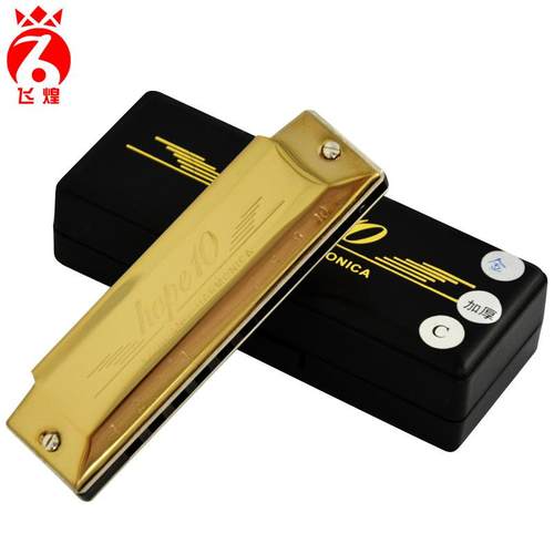 飞10自布鲁斯全音阶C调教学KOL学煌礼成人儿孔童演奏乐器