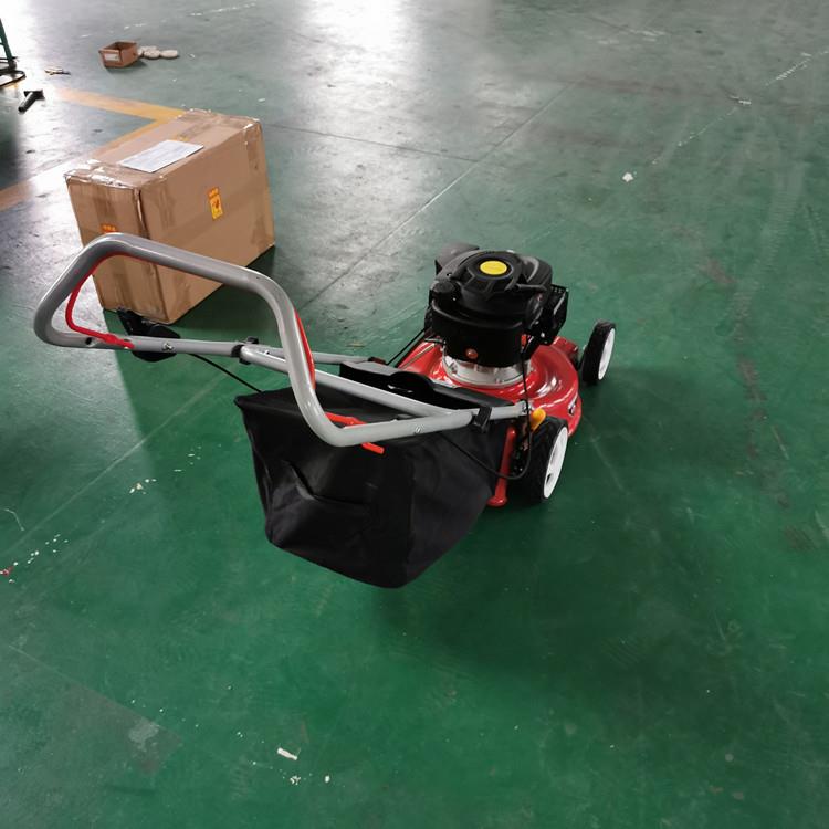 大马力草冲程走式碎草割四草机自GXV160UIF发动机坪机绿化草坪修