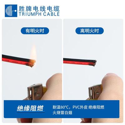 液屏测试FGP连火接2468红黑线-2晶4A端花排线子线防线