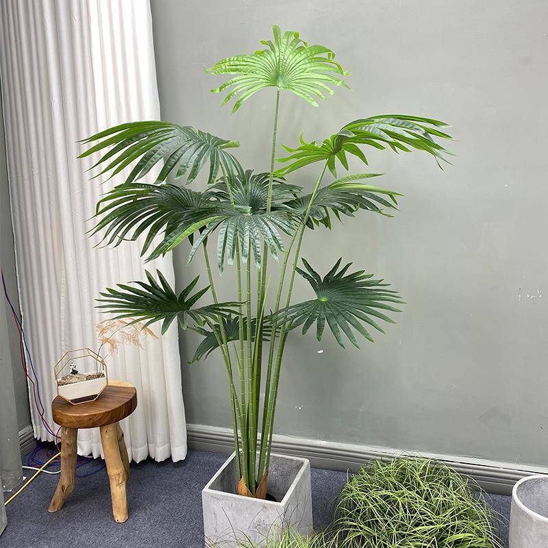 型带仿真植物加州盆蒲葵zj4683树扇葵树大落热地景室内客厅网红装
