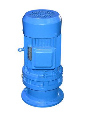 001BLDX针LD立式摆线轮减速BWDW系列XD系列减机速机