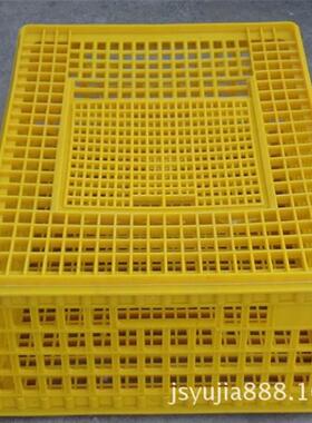 禽用转周箱成鸡QYB箱成鸭箱成鹅箱鸽箱鸡笼鸭笼鹅笼鸽成笼家运输