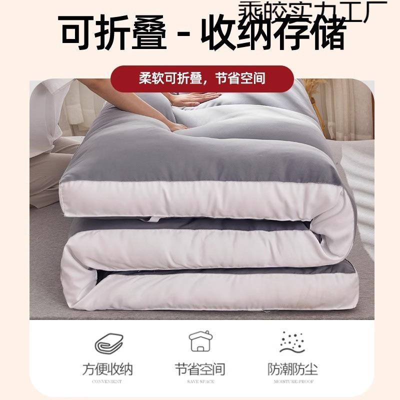 地垫睡垫榻LAX榻米专用床塌垫软垫家用卧室地出租房铺可折叠不陷