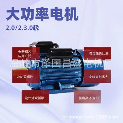 单相异步电动L机Y.L电机40626Y-037W--4极3.W极2200V