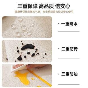 泰迪DBE绒用飘型窗垫窗台垫2025新款可拆洗四季通感小户垫阳台子