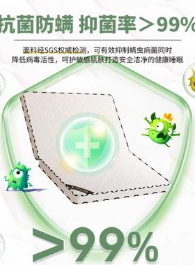 棕垫天然椰棕床垫出榈垫儿A65085童家护棕用护腰脊硬垫租房用可折