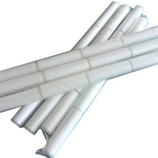 密过滤器亲水精性无ZLA菌级折叠滤芯生物品制40寸微孔聚醚砜膜滤