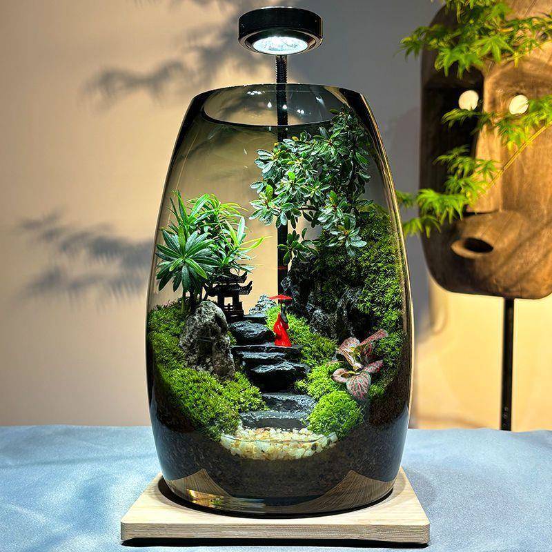 步步高升苔藓微景生态瓶F99S5SH5观创意植物景养鱼缸办造面公室桌